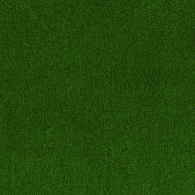 CV09