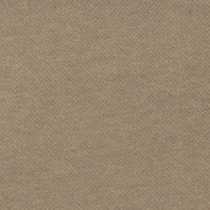 Warm Grey