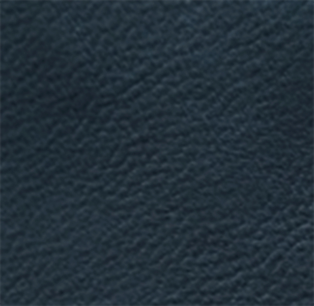 Steel Blue